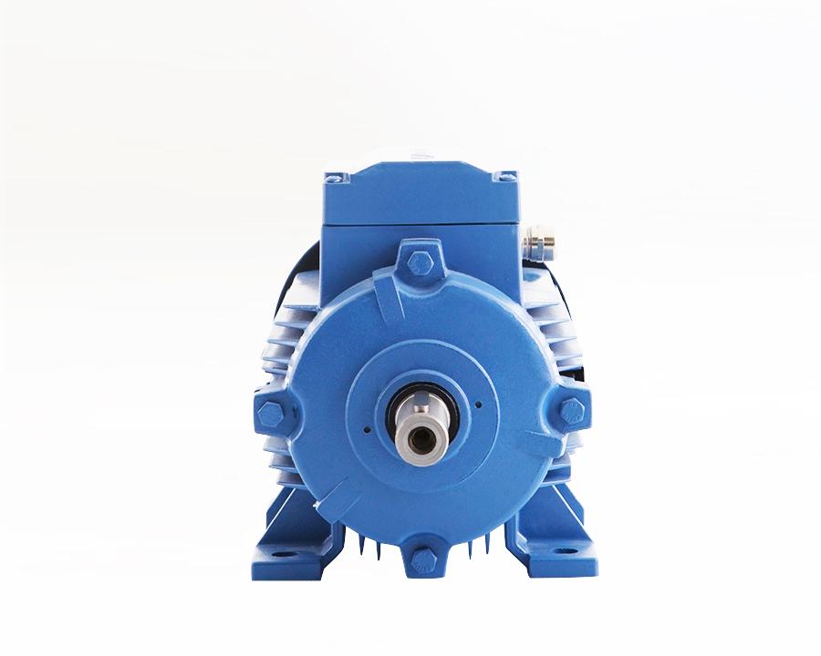 100 Tip Elektrik Motoru