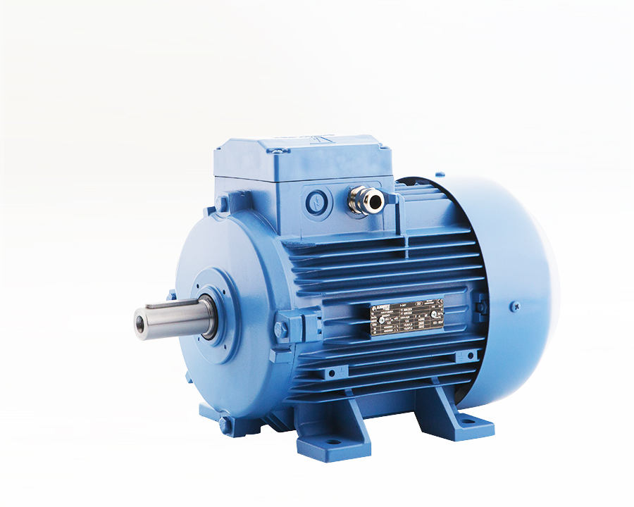 112 Tip Elektrik Motoru