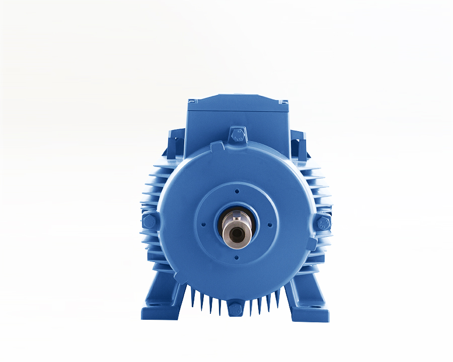 160 Tip Elektrik Motoru