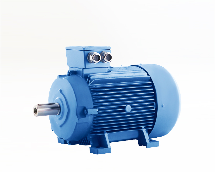 200 Tip Elektrik Motoru