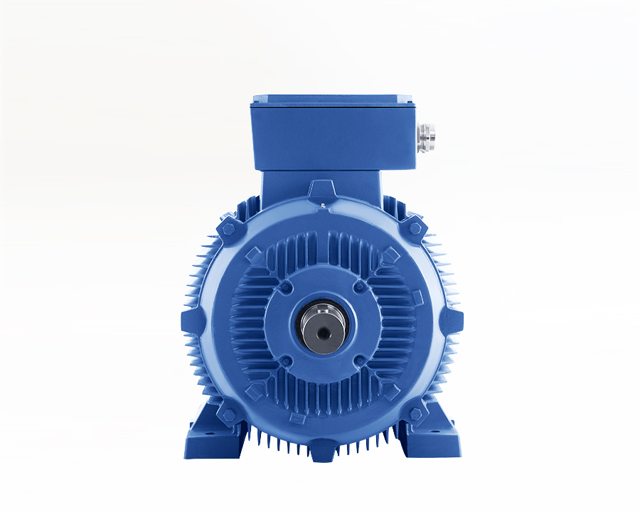 315 Tip Elektrik Motoru