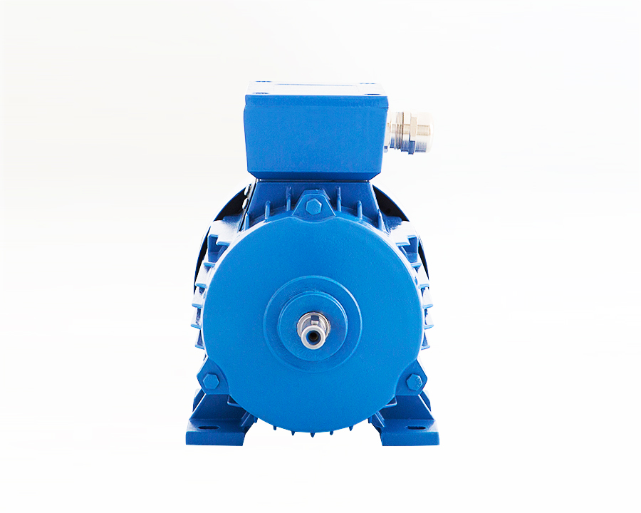 63 Tip Elektrik Motoru